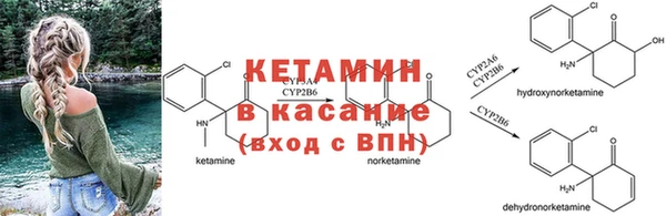 стаф Горно-Алтайск